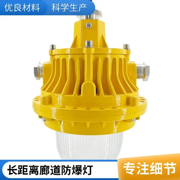 化工厂防爆照明灯50W led防爆平台灯防爆投光灯安全节能