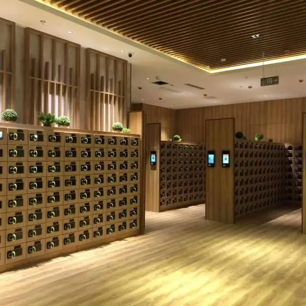 洗浴扫刷二维码锁刷条形码电子感应锁用于更衣柜鞋柜产品