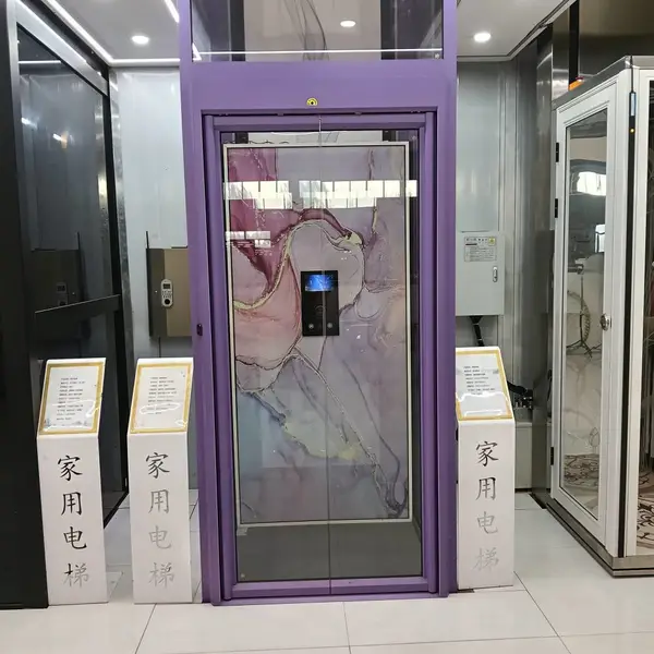 家用电梯 室内外别墅复式电梯 二四六层阁楼三五层液压小型电梯