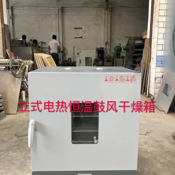 电热恒温鼓风干燥箱-煤炭化验设备-煤炭水分烘干箱