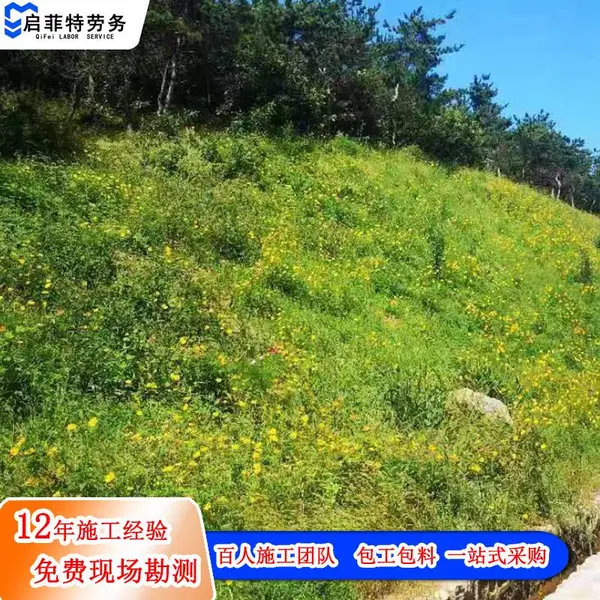 承接热镀锌低碳钢丝边坡绿化喷浆植草客土喷播勾花网