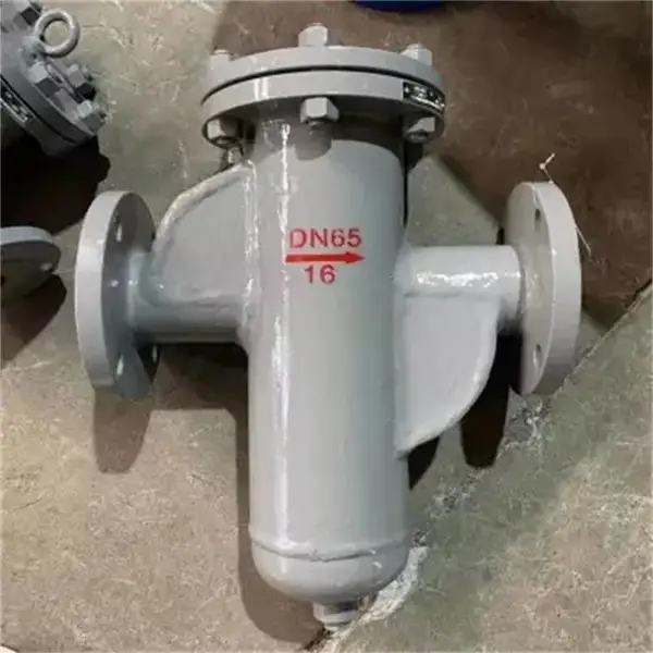 LPG-104 DN250不锈钢多功能过滤器 海水法兰过滤器 防腐管道过滤器