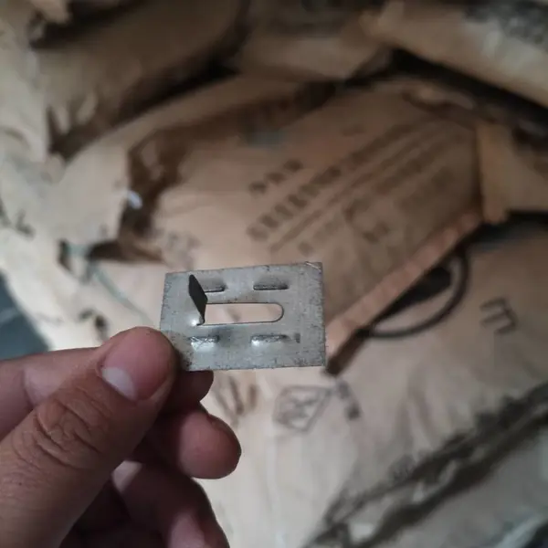 ��������ϩ�����½���ë����