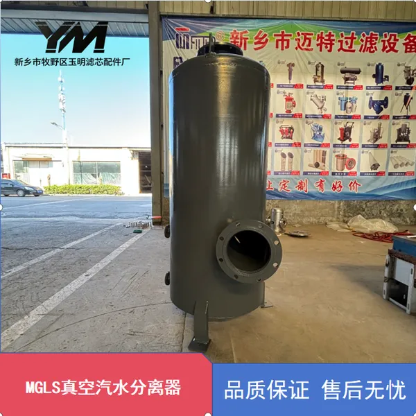 MGLS 真空汽水分离器 304 不锈钢耐腐 MGLS 真空分离器
