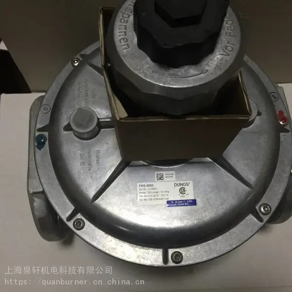 德国DUNGS冬斯FRS5065调压器FRS5080减压阀