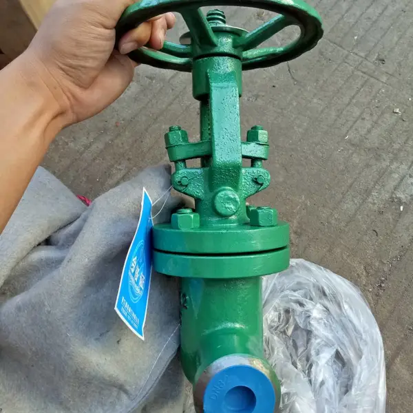 真空阀门 DN125 NKZ41H-40C 铸钢真空隔离闸阀 水封闸阀