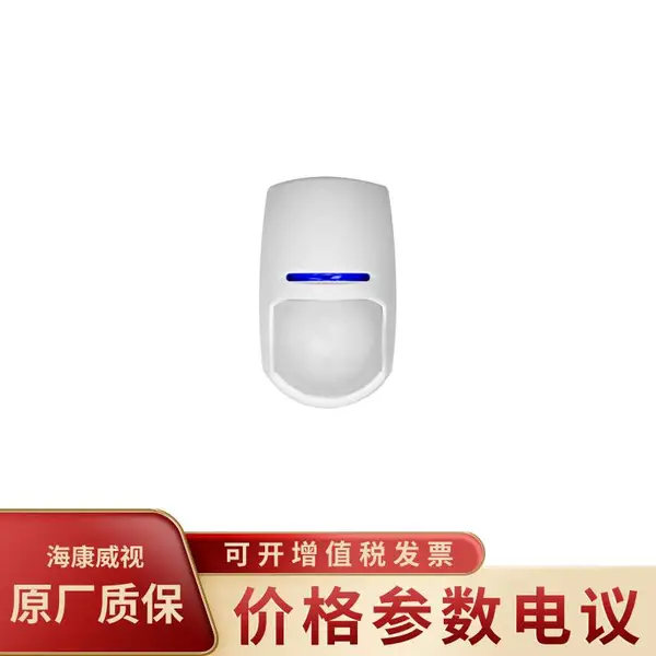 HIKVISION/��������DS-RD2-P10P-W ���߱�������̽����
