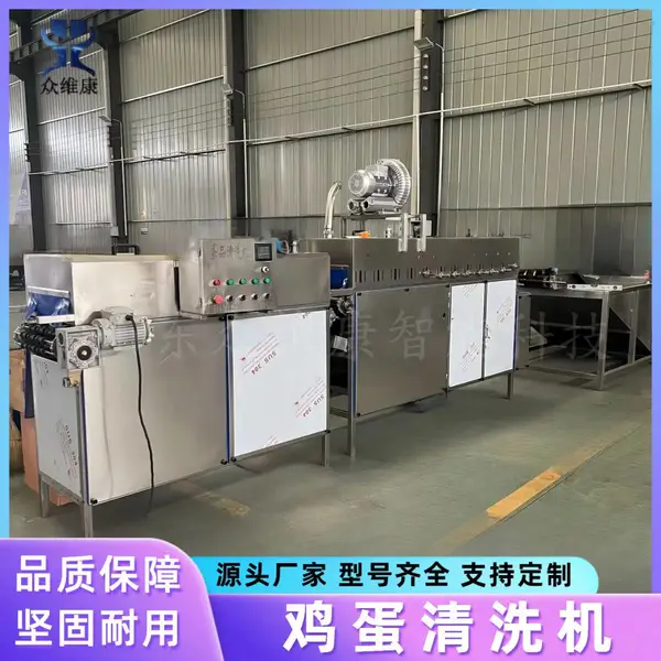 大容量洗蛋机 养殖场禽蛋清洗光检机 食品厂专用全自动鸡蛋清洗机