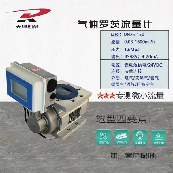 供应防爆型电流4-20ma输出智能罗茨流量计LLQ