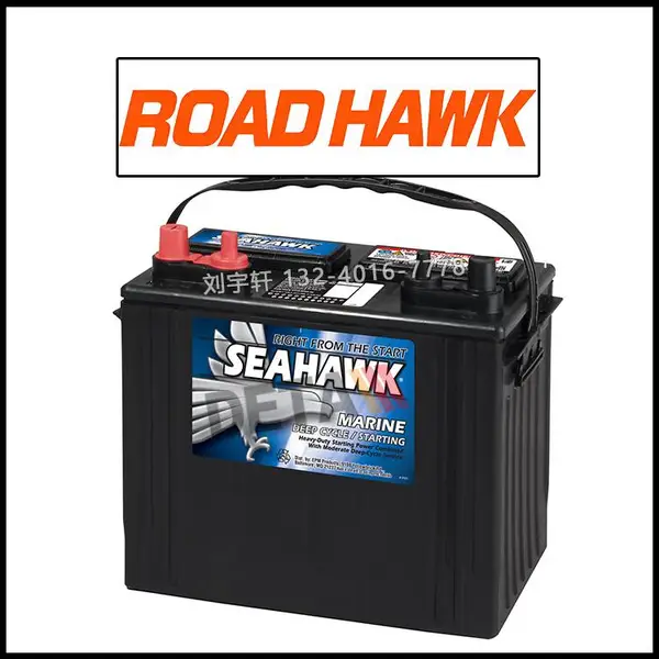 ROADHAWK 蓄电池 9C11 8C11 8C6V 8L16 深循环 6V 洗地机 升降平台电瓶