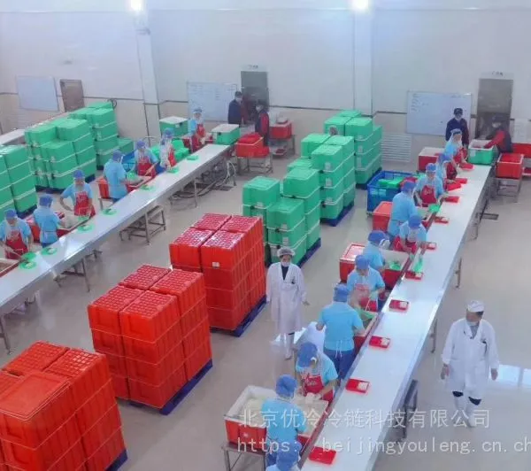 北京优冷供应学生营养餐PP餐盒10元/个 - 中国供应商