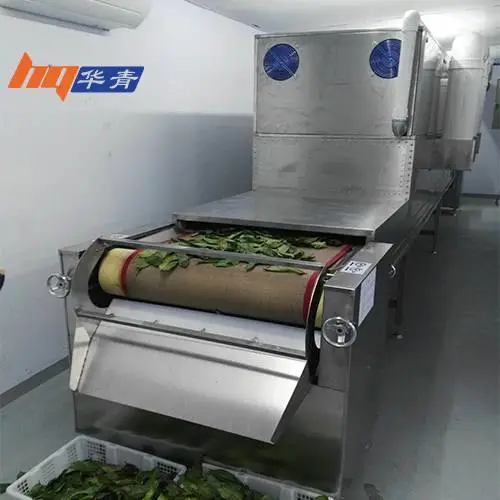 华青金花茶微波杀青机广西防城港隧道式微波茶叶杀青机