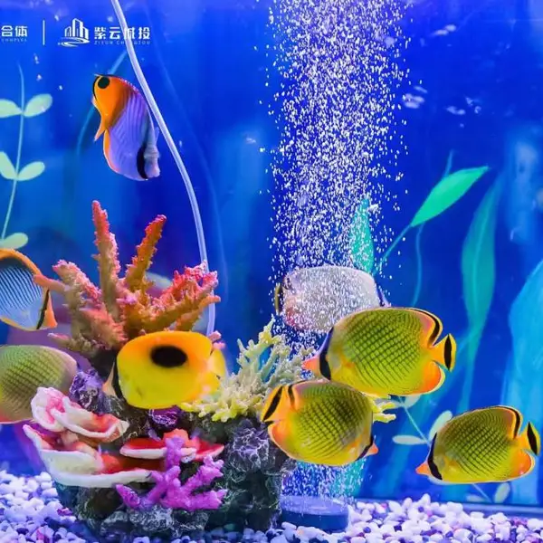 海洋展租赁 环球飞车表演出租 萌宠动物展览租凭
