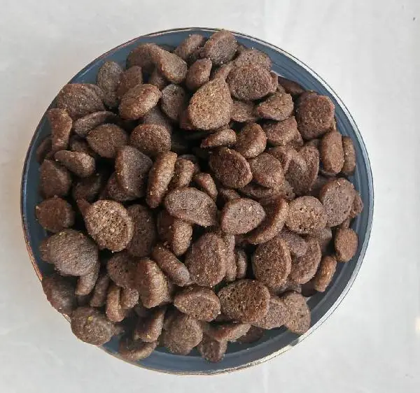 è����������ʳƷ����cat,food