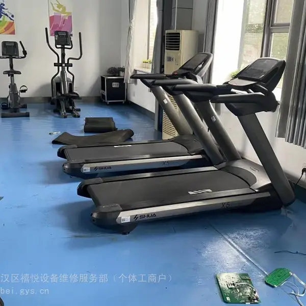 黄石市跑步机健身器材维修销售,户外场地设施维保,院校单位上门服务