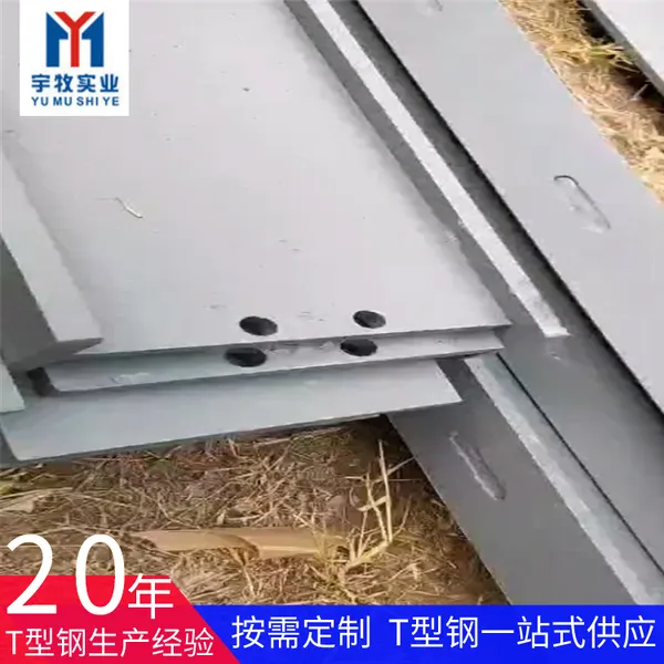 �Ϻ��������׺�T�͸� 60X60q235T�͸� ����ĻǽT�͸ֶ��ߴ��