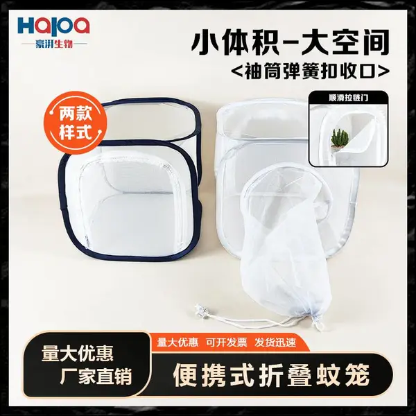 �۵���������������Я���沶׽������ֳ��������۲���Ӭ����