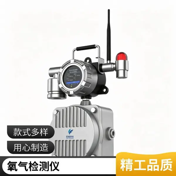 实验室用 手提款氧气检测仪 便携氧浓度测量仪 高精度 快速检测