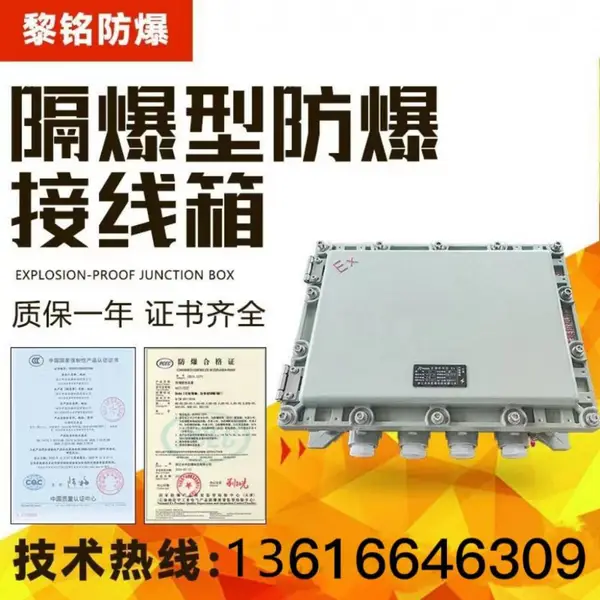 防爆接线箱开关动力照明空箱隔爆型电力仪表检修箱增安型IIBC厂家
