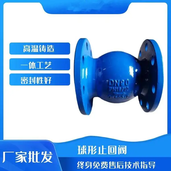 ��������ʽ���ܷ�ֹ�ط�HQ44X-10/16Q��ĥ������DN65