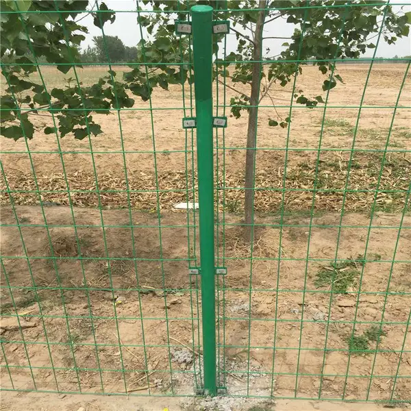 ũ������������ ��ܷ����� ��ʱ�ֿ���