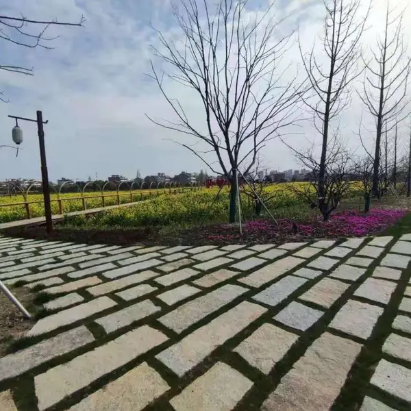 寺庙古建园林 铺路石 百年陈旧老石板 石屹旧石头条步道铺装