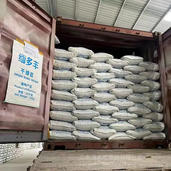进口大产区油绿豆 中小颗粒大小 饱满度高 绿豆糕 绿豆芽菜 绿豆汤 糕点.食品馅料原料