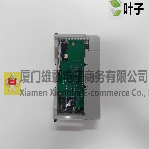 DS200DMCBG1AKG 模拟输入模块 全新