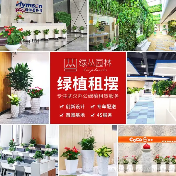 绿植租摆/武汉办公室植物租赁养护/优质租摆公司/绿丛园林