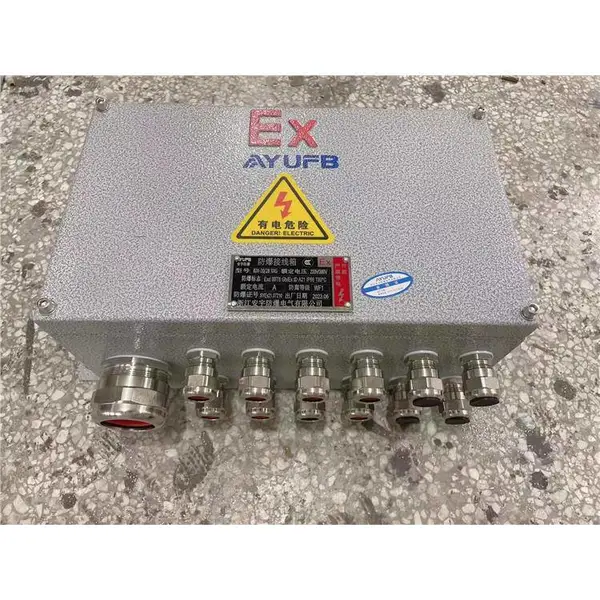 20A防爆100对端子BJX-20/100 台州粉尘防爆端子箱 电话