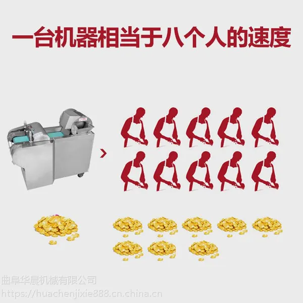 ������������˿��/������Ƭ��/��������20����˿����