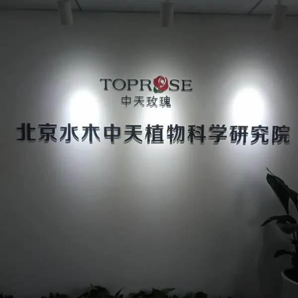四惠附近公司logo墙背景墙亚克力字水晶字PVC雪弗板雕刻字制作安装
