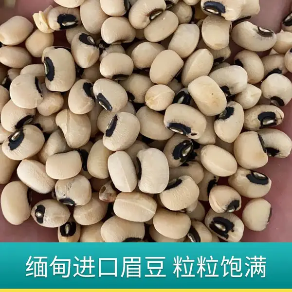 缅甸进口中粒缅甸眉豆白饭豆豇豆 黑嘴白豇豆批发 五谷杂粮 煮粥材料原料