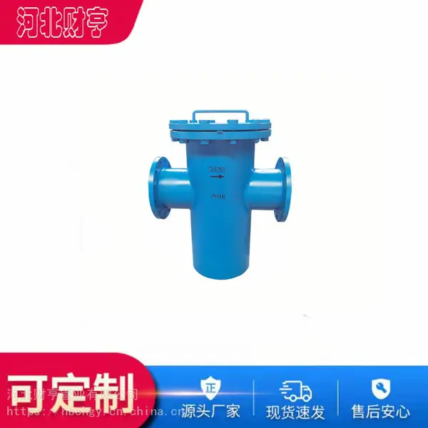 直通篮式过滤器 工业污水处理用篮式过滤器