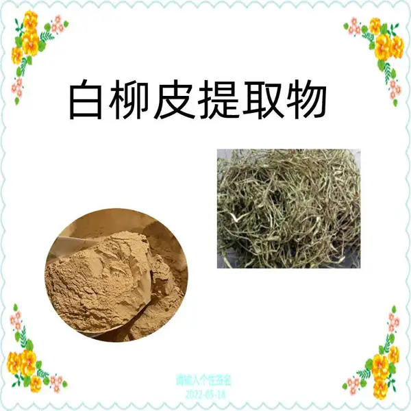 白柳皮提取物 速溶粉 浸膏粉 含水杨甙 浓缩干燥 可定制