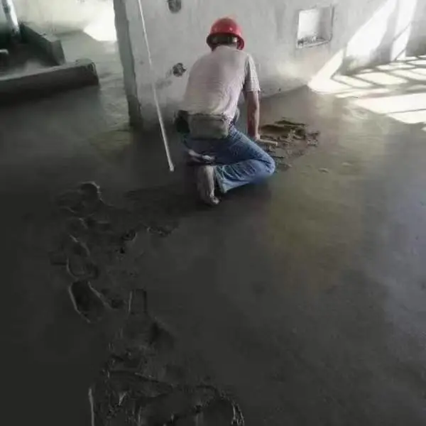 ��˫���ɷ����������ճ����