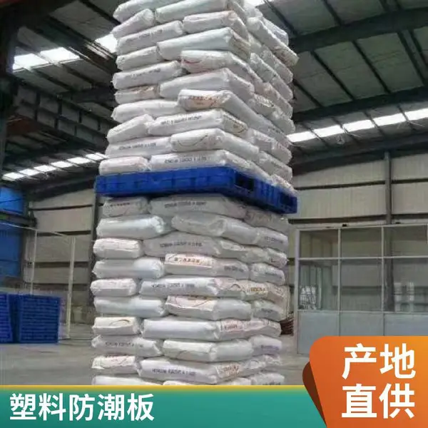 临港包装 供应全降解纸浆模塑标准纸品纸水果托盘纸托