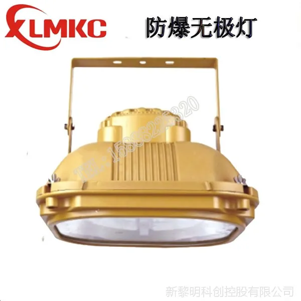 SBF6130免维护防水防尘防腐泛光灯 200W环形低频无极灯电池感应灯