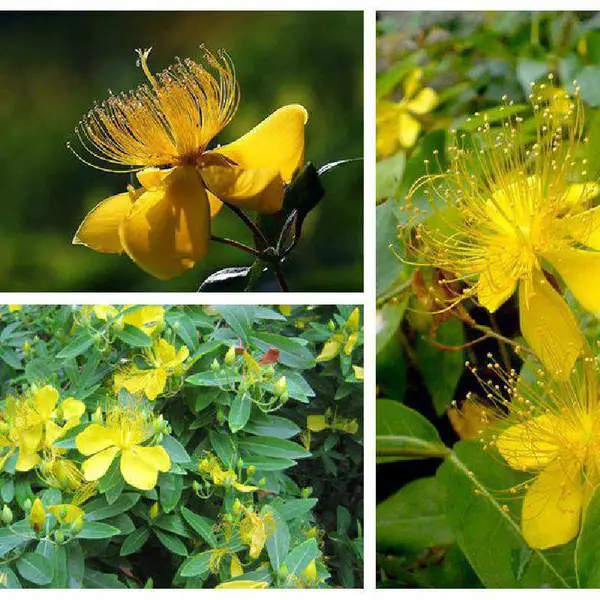 �캵����ȡ��10:1  �ֻ���Ӧ һ������