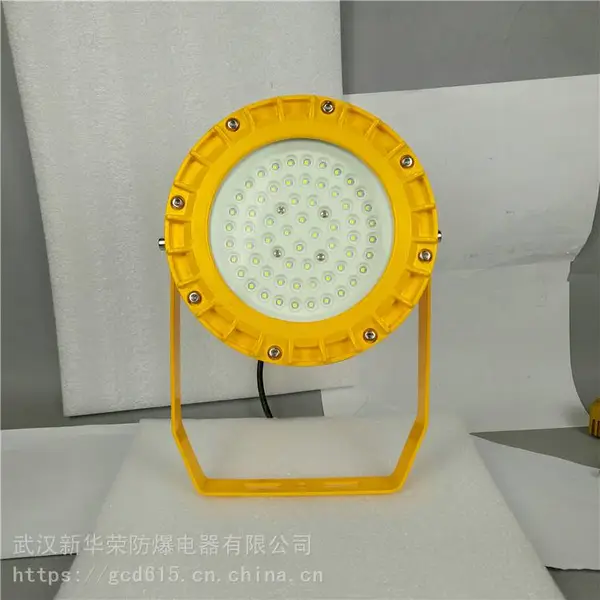 华荣 制药厂LED防爆灯80w 地下管廊LED防爆灯40w 欢迎选购