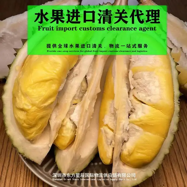 深圳/广州港进口水果清关代理流程手续泰国越南海运冷箱榴莲报关
