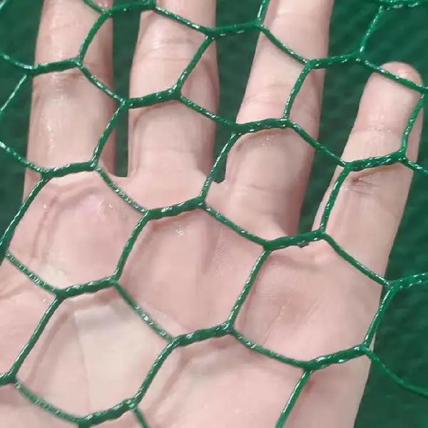 ˫�չ�Ӧ���� ��ɫ��ֳ����