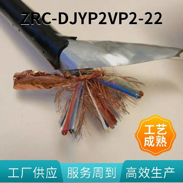 徽嬴康星 ZRC-DJVP2VP2-2*2*1.0铠装计算机电缆zc-djfpvp-3*1.0