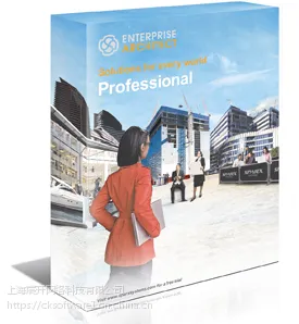 Enterprise Architect Professional Edition正版价格多少钱购买