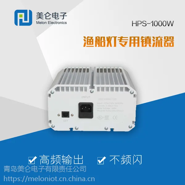 ���ü���������� 1000W����Ƶ���������