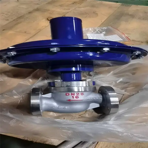 ZZVP-16P SUS304�������������ʽ΢ѹ��ѹ��