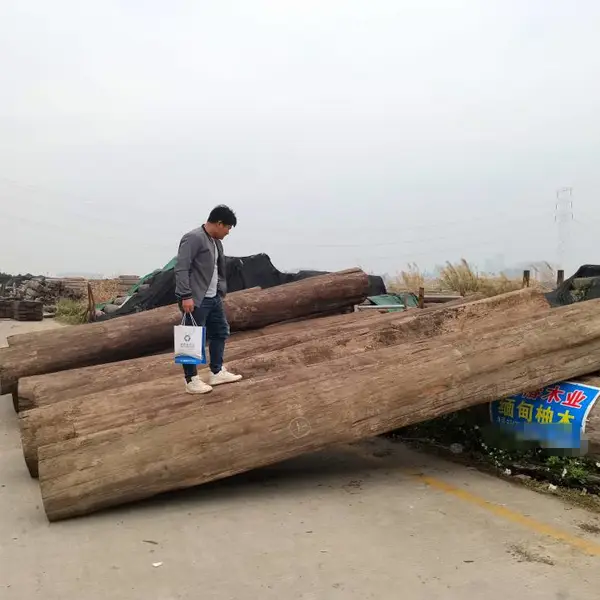 宁波木材进口报关代理