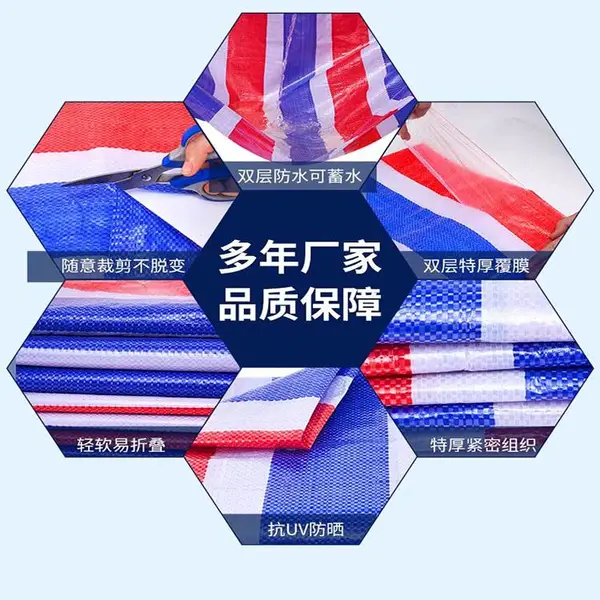 ���ݾ���ϩ������_����� ������ ���������ϲ� �����������