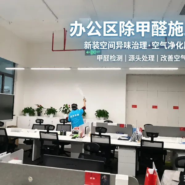 重庆新房除甲醛公司产品 新房装修除味 工程师定制治理