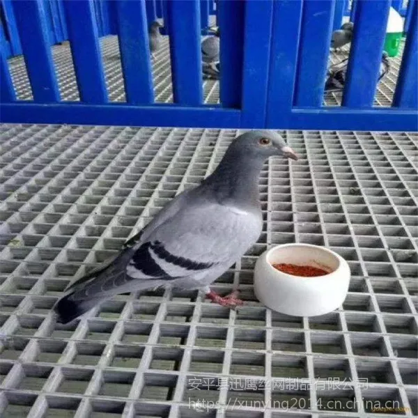 Ѹӥ��ֳ��դA��ɫ�����ָ�դ��A���ݻ�ѧ���乵�ǰ�